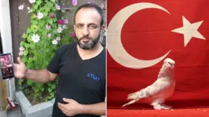 A Passion Worth Hundreds of Thousands: Erzurum Resident Breeds Elite Şebap Pigeons Under High Security