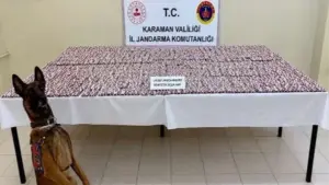 Adana Police Launch Massive "Peace and Security" Sweep: 64 Suspects Arrested and Hefty Fines Issued