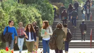 Council of Higher Education Extends Student Amnesty to Cover This Year’s University Exam Placements