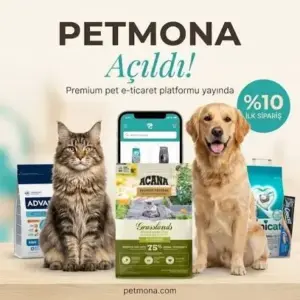 Petmona Emerges as a Comprehensive Digital Hub for Specialized Pet Nutrition and Essential Care Products