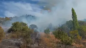 Rapid Response Prevents Major Disaster: Roadside Fire in Manisa’s Demirci District Struck Down Before Reaching Forestland