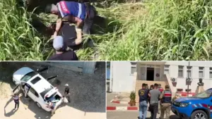 Samsun’s Salıpazarı District Shaken by Major Drug Operation: 756 Cannabis Plants Seized in Residential Backyard
