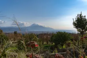 Two Years After Earthquakes, Hatay Villagers Face Sudden Land Seizures by SMS for State Housing Projects