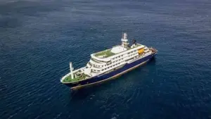World Health Organization Triggers Global Health Alarm as Suspected Hantavirus Outbreak Leaves Three Dead Aboard Dutch Cruise Ship