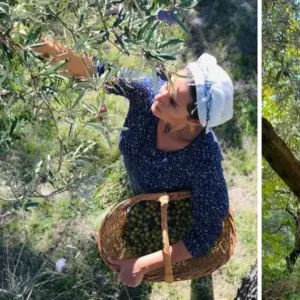 From Spotlight to Soil: Acclaimed Actress Aslıhan Gürbüz Embraces Village Life and Shares Olive Harvest Joy
