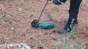 Hatay’s Hassa District Witness Unusual Wildlife Encounter as Firefighters Safely Rescue and Relocate Residential Snake